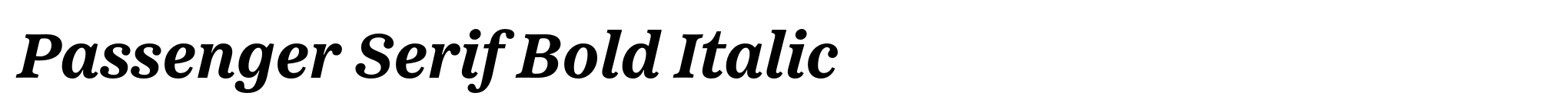 Passenger Serif Bold Italic image